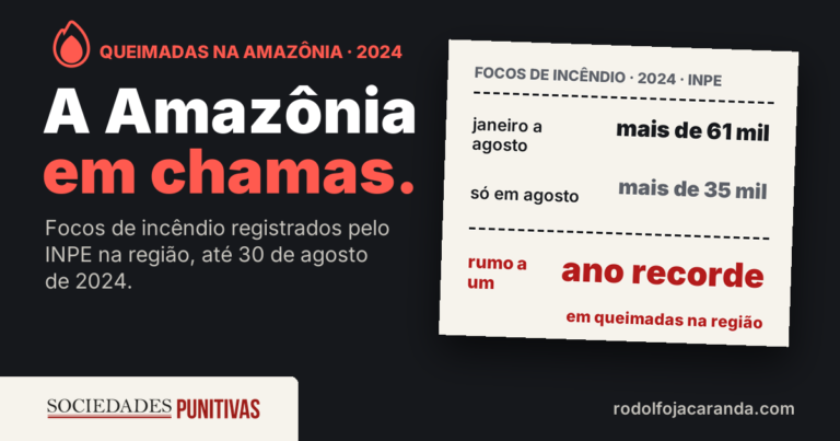 Queimadas na Amazônia · 2024