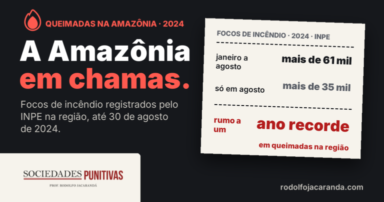 Queimadas na Amazônia · 2024